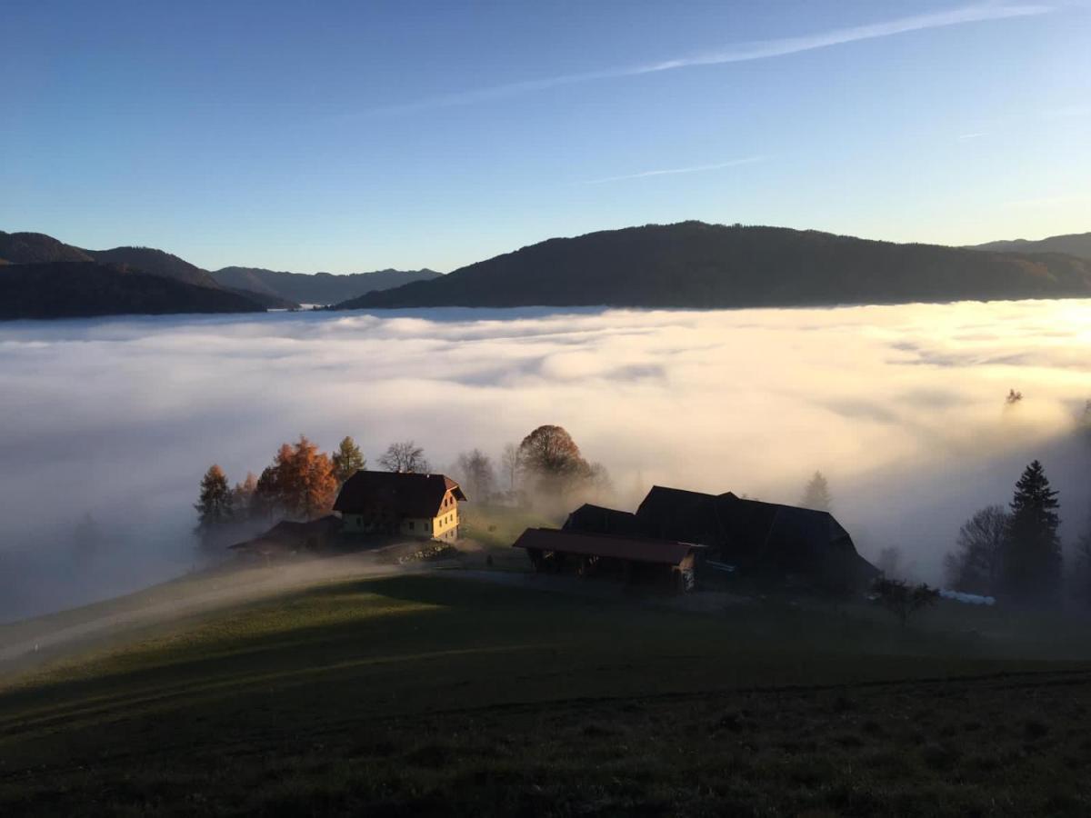 Oberwoelz Stadt Zum Wohle 아파트 호텔 외부 사진